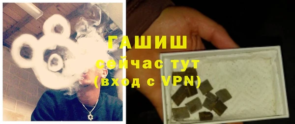 сатива Баксан