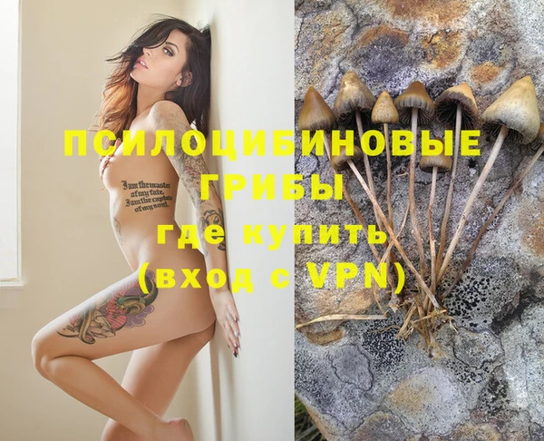 сатива Баксан