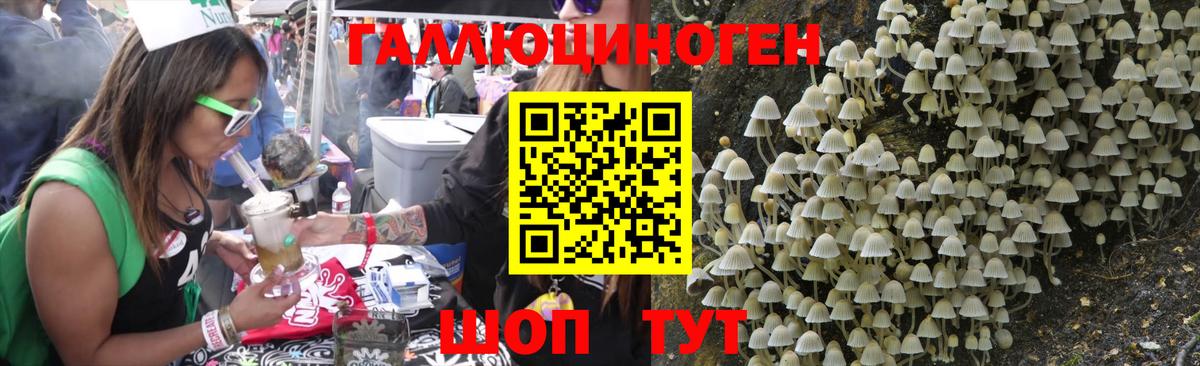 Галлюциногенные грибы Magic Shrooms Балтийск