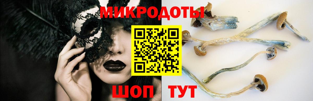Галлюциногенные грибы Cubensis  Вход с VPN  Балтийск  Галлюциногенные грибы GOLDEN TEACHER 