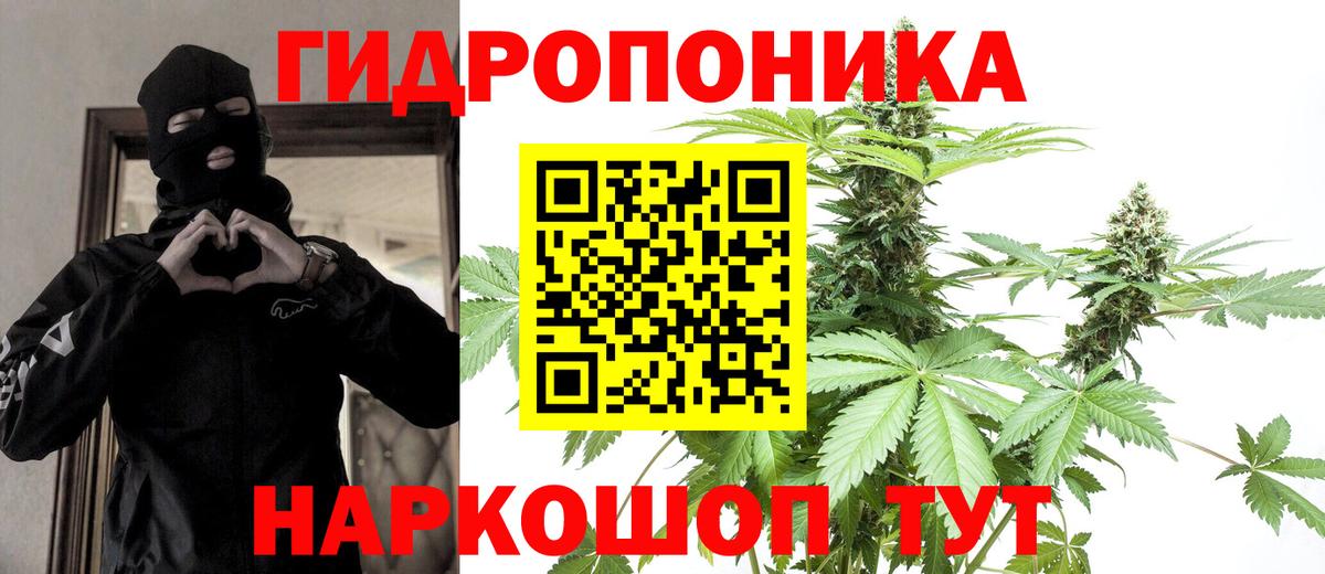 Марихуана White Widow  Вход с VPN  Конопля LSD WEED  Балтийск  МАРИХУАНА конопля 